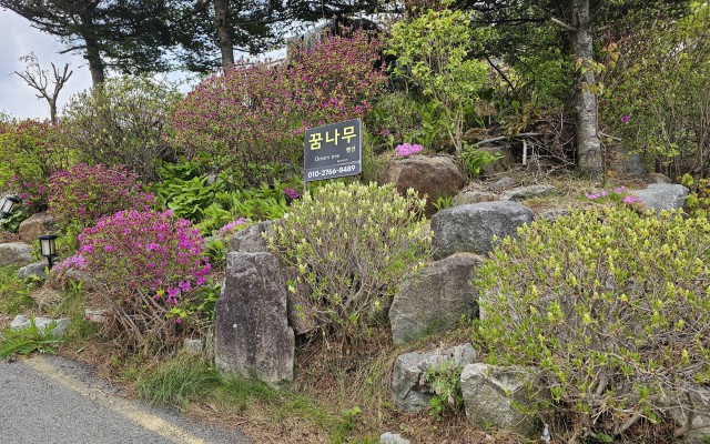 메인갤러리-3